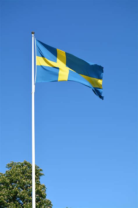 Hd Wallpaper Sweden Flag Swedish Scandinavia Patriotism Yellow