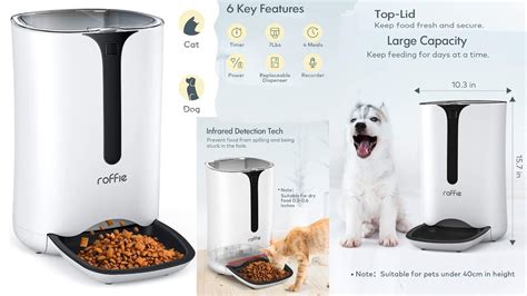 Roffie Automatic Cat Feeder Dog Food Dispenser Youtube