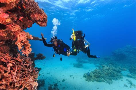 Why Scuba Diving Is The Best Day Trip