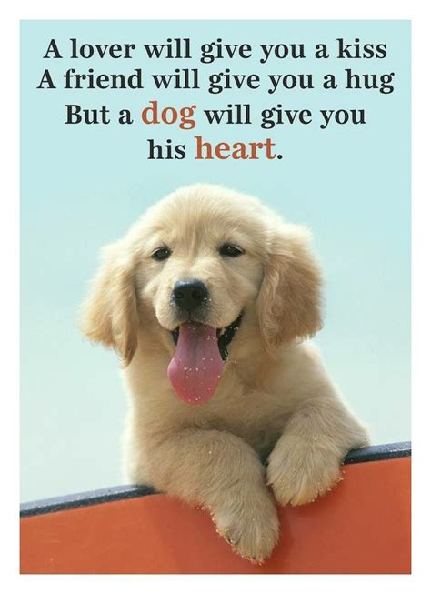 The 25 Best Cute Dog Quotes Ideas On Pinterest Sweet