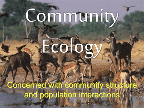 Community Ecology