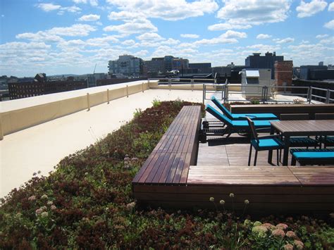 The Muse Roof Deck — Recover Green Roofs