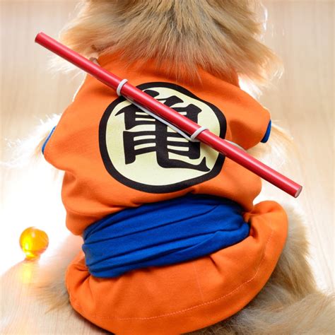 Share 95 Anime Costumes For Dogs Latest Induhocakina