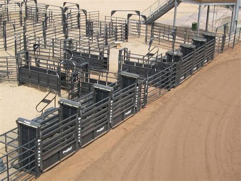 Priefert Bucking Chute Kovac Ranch Equipment