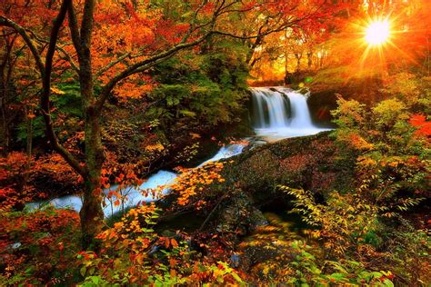 Autumn Forest Trees River England Waterfall Dartmoor Forest Trees