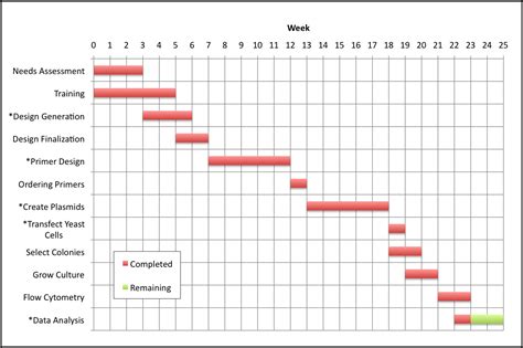 Project Schedule Examples Including Gantt Charts Milestones Charts And
