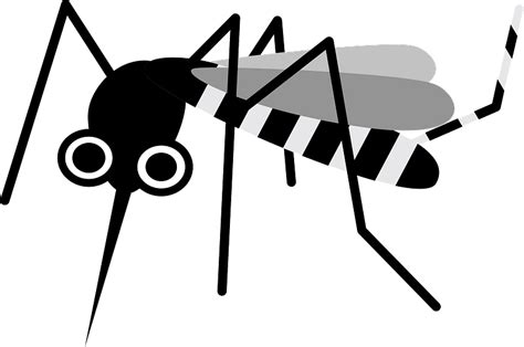 Mosquito Insect Clipart Free Download Transparent Png Creazilla