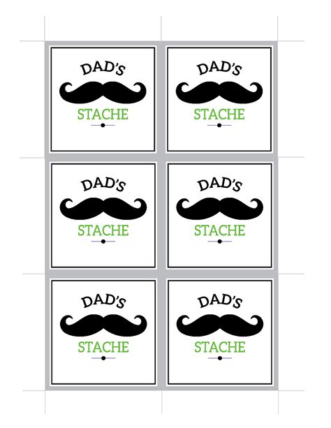 dad stache fathers day gift idea catch  party