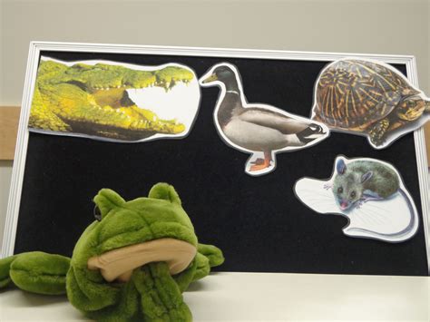 Flannel Board Wide Mouthed Frog Frog Activities Flannel Board