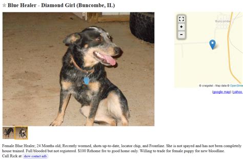 If you use craigslist for collectibles though, don't expect to get top dollar. Craigslist Dogs For Trade - Puppy Leaks