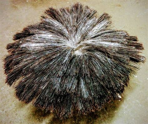 Picture Of A Rosebud Drywall Texture Brush From The Bottom