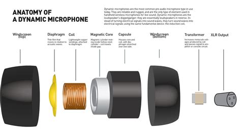 How Dynamic Microphones Create Audio Signal