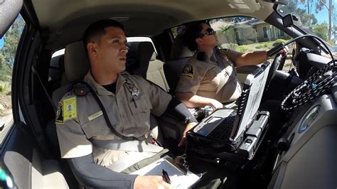 Animals, we see them every day. Hitching a Ride with Animal Control Officers - YouTube