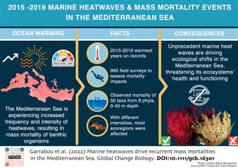 Marine Heatwaves Drive Mass Mortalities In The Mediterranean Sea