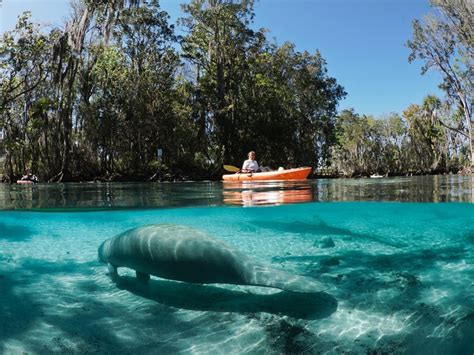 11 Best Florida Springs To Take The Kids To This Summer Map Trips