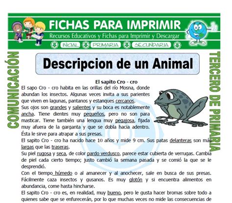 Descripcion De Animales Para Niños De Primaria Niños Relacionados