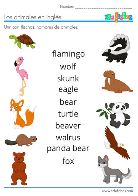 Juegos con tapones para aprender números y letras. ANIMALES EN INGLÉS | Animales en ingles, Ingles para preescolar, Nombres de animales
