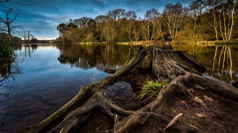 Wallpaper Trees Landscape Forest Lake Nature Reflection Clouds