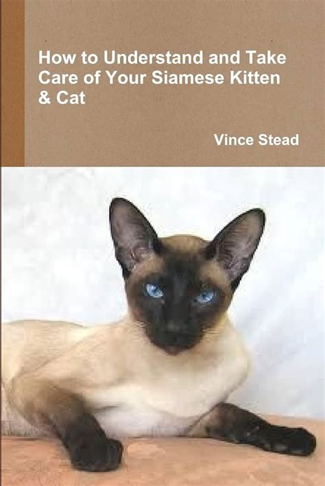 Siamese Cats As Pets Siamese Cat Facts Information Where To Buy