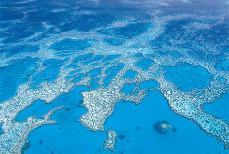 Coral Reefs Are Now In Nasa Territory