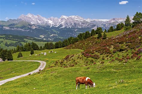 Dolomites And Alpe Di Siusi Alto Adige Italy Wander Your Way