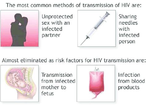 modes of hiv transmission download scientific diagram