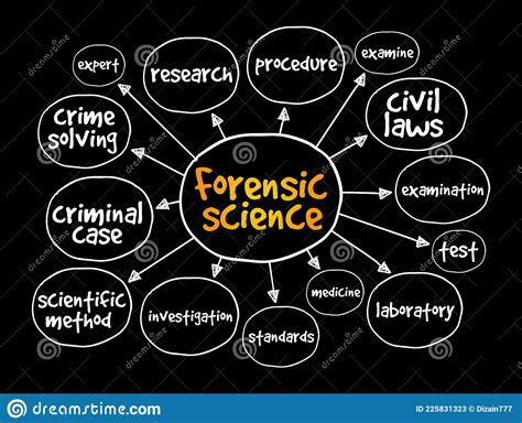 Forensic Science Mind Map Concept For Presentations And Reports Stock Illustration