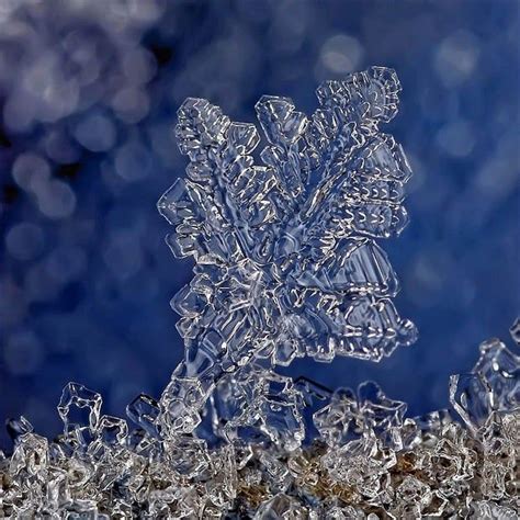 Andrew Osokins Macro Photographs Of Snowflakes And Ice Formations
