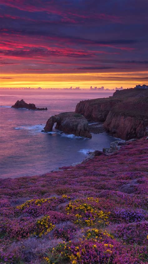 Sunset Beach Flower Field 4k 5510f Wallpaper Pc Desktop