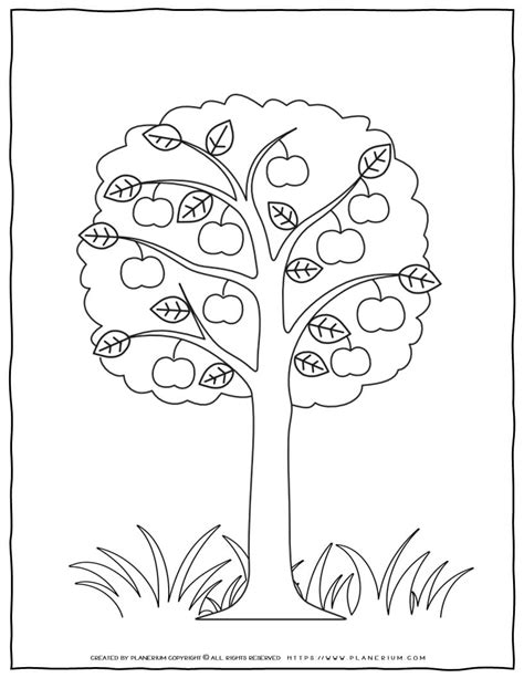 Apple Tree Coloring Pages For Preschool