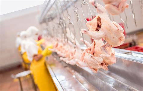 Gao Report Calls For Stronger Protections For Meat And Poultry Workers