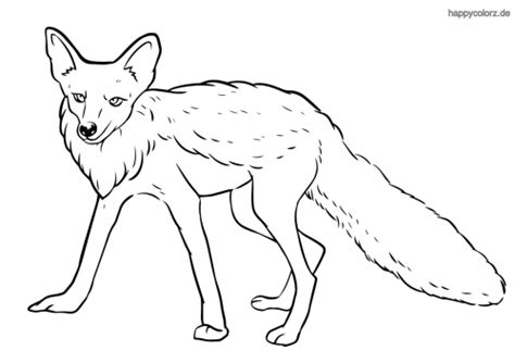 Einfach auf den link klicken Fuchs Malvorlage kostenlos » Füchse Ausmalbilder