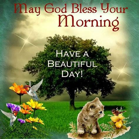 May God Bless Your Morning Pictures Photos And Images For Facebook