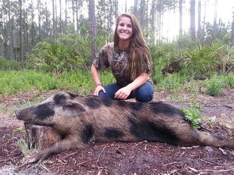 Florida Wild Hog Hunts Hog Hunting Wild Hog Hunting Fishing