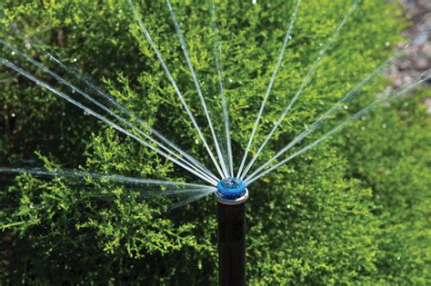 Microbewässerung für Profis aqua naturale