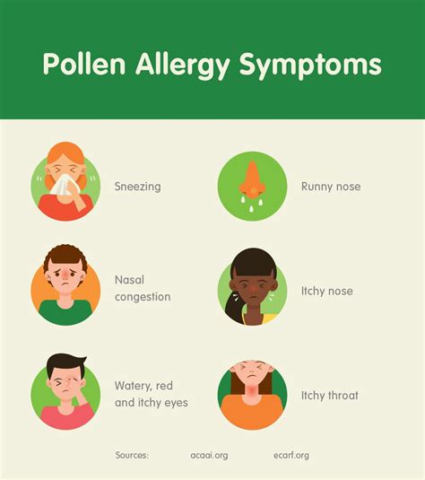 WHAT EXACTLY IS A POLLEN ALLERGY Pollen Allergies Pollen Allergies