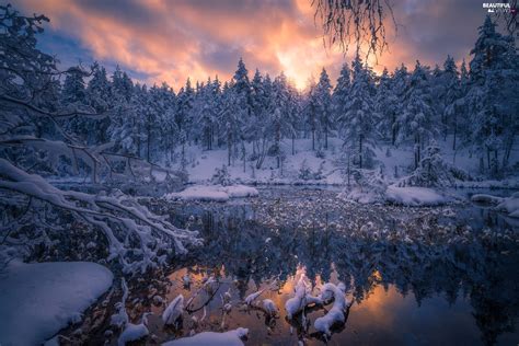 Winter Pond Car Viewes Ringerike Municipality Norway Trees Snow