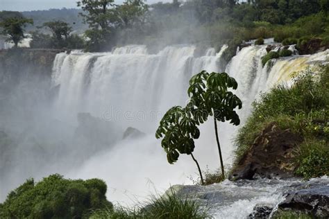 Beautiful View Of Iguazu Falls One Of The Seven Natural Wonders Of The