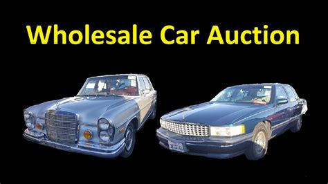 Buying Cars Wholesale Auction