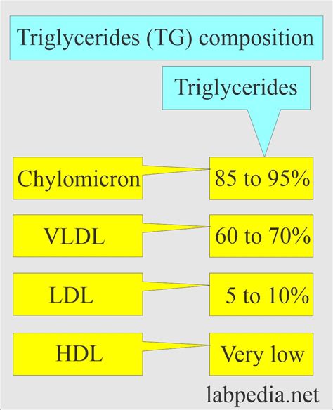 Lipoprotein Part 5 Triglycerides Tg