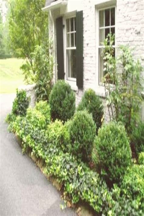 30 Low Maintenance Shrubs For Front Yard