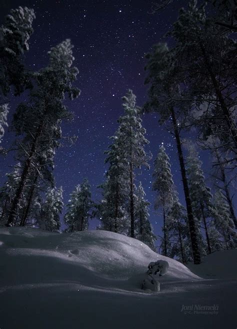 Moonlit Forest By Joni Niemelä On 500px Night Sky Photography Winter Scenery Night Skies