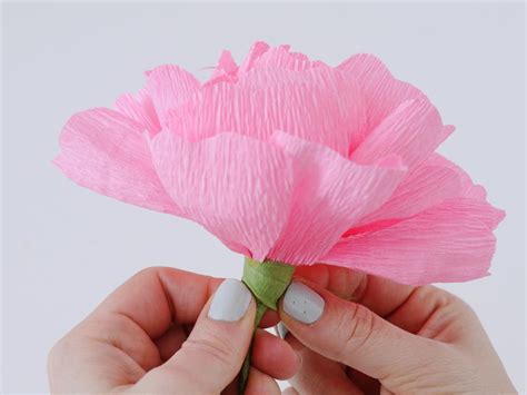 Step By Step Crepe Paper Flower Design Cut A 6 X 2 Strip From Crepe