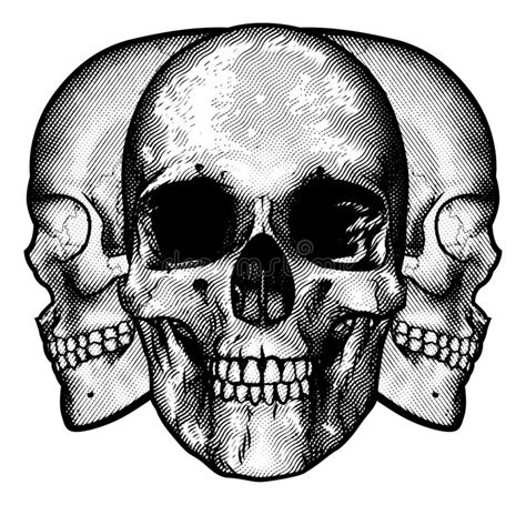 Graphic Human Skull With Crossed Car Piston Vector Stock Vector