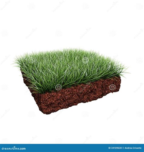 Piece Of Grass Stock Photo Image 34109630