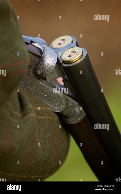 Twelve Bore Shotgun With Cartridges Showing Stock Photo Alamy