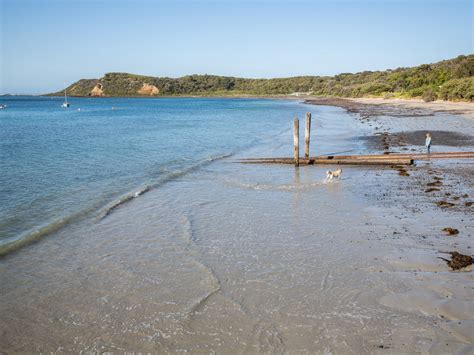 Flinders Beach Attraction Mornington Peninsula Victoria Australia