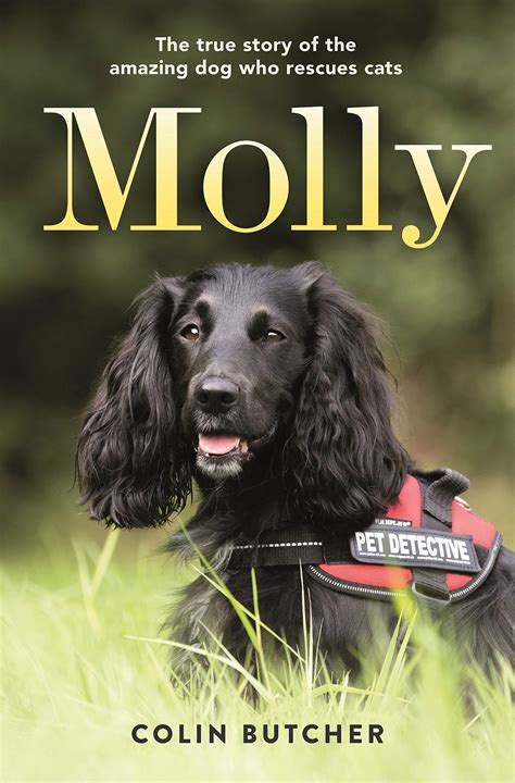 Molly: The True Story of the Amazing Dog Who Rescues Cats | Pricepulse