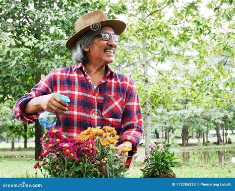Elderly Farmer Man Holding Flower For Planting And Watering Flowers