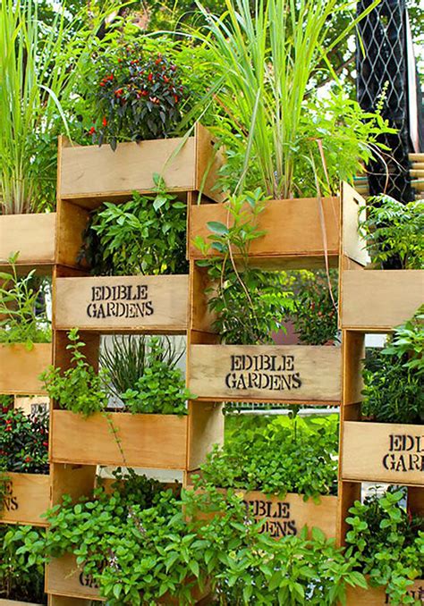 10 Genius Ways How To Make Vertical Herb Garden Ideas Vertical Herb